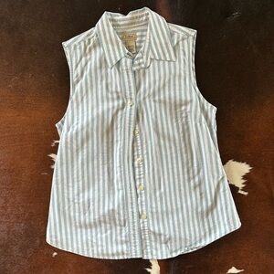 L.L. Bean Blue and White Striped Cotton Shirt